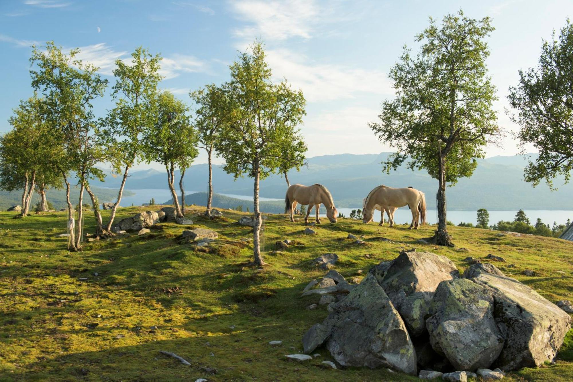 Langedrag Naturpark As Tunhovd Exterior foto